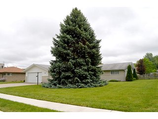 Property photo 32 - Beautiful 3 Bedroom Ranch & Personal Property - Stein Estate